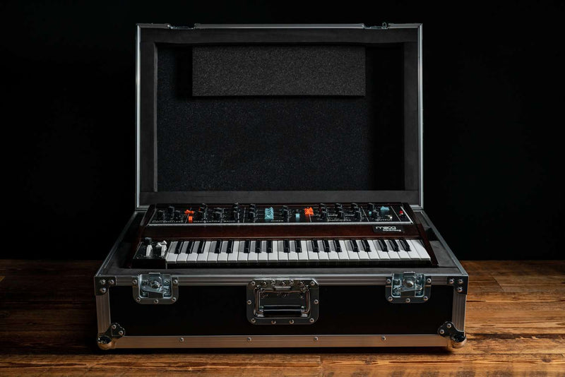 MOOG MINIMOOG MODEL D ATA CASE