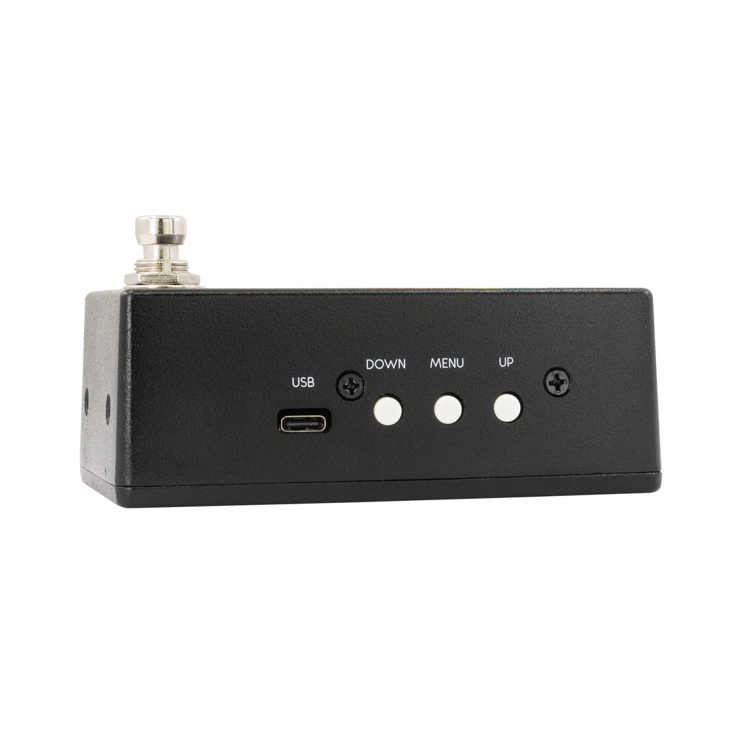 WALRUS AUDIO CANVAS TUNER