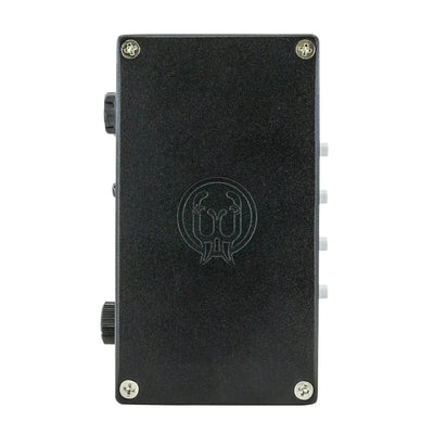 WALRUS AUDIO CANVAS RE-AMP
