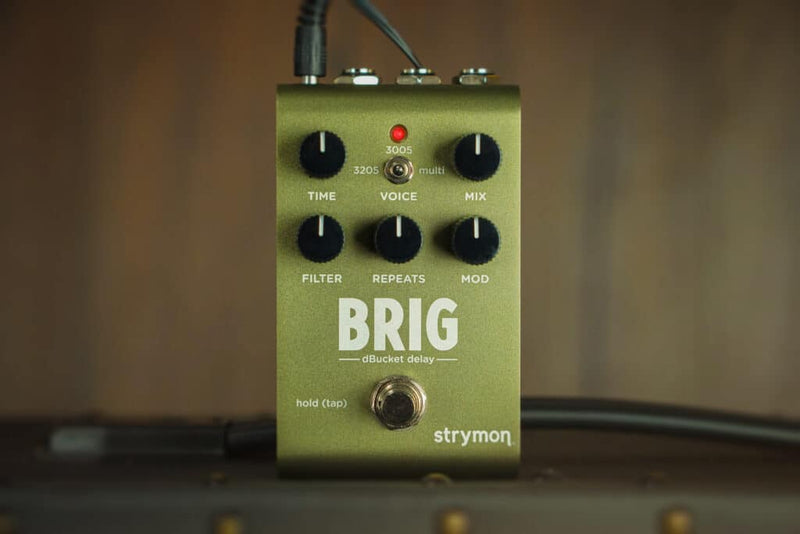 STRYMON BRIG BBD