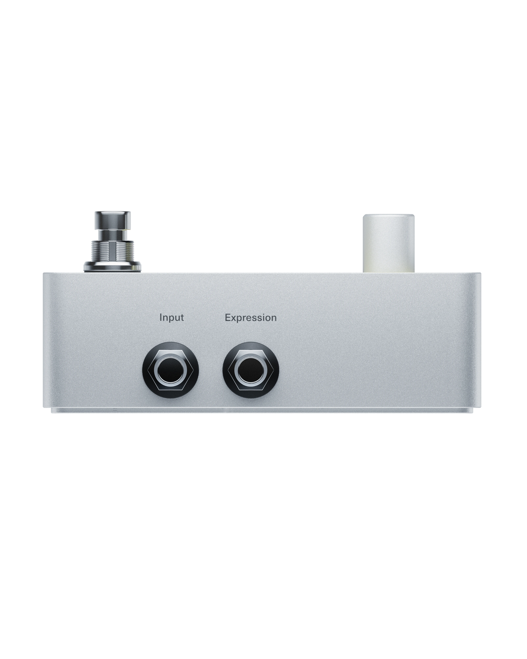 POLYEND ENDLESS STOMP BOX