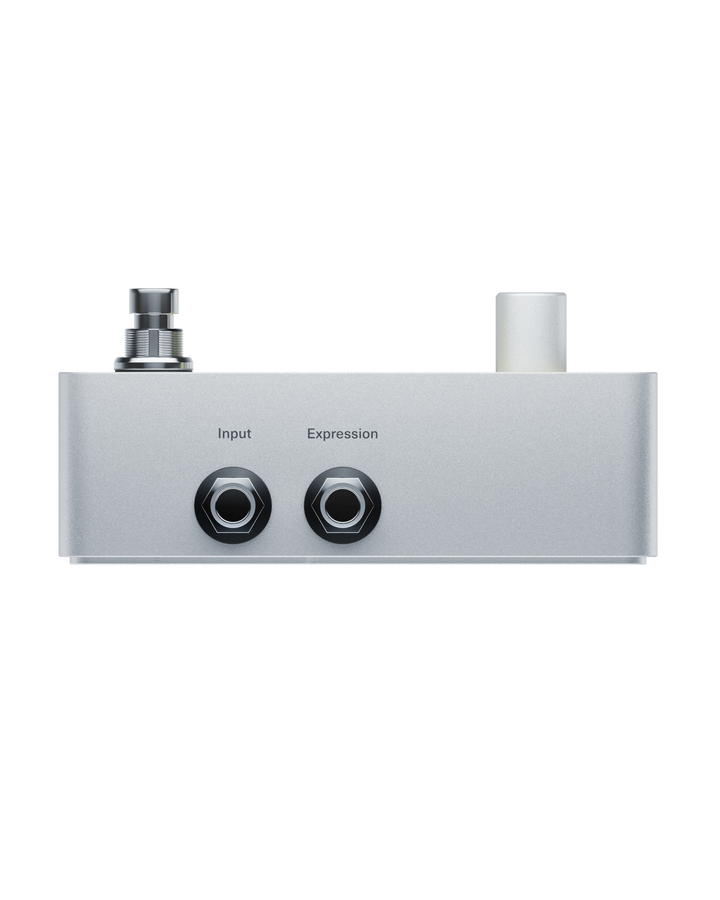 POLYEND ENDLESS STOMP BOX
