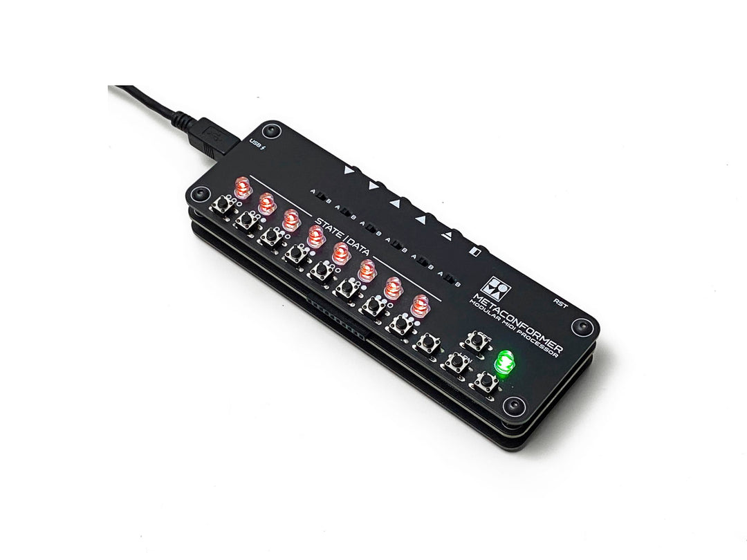 SOMA LABORATORY METACONFORMER