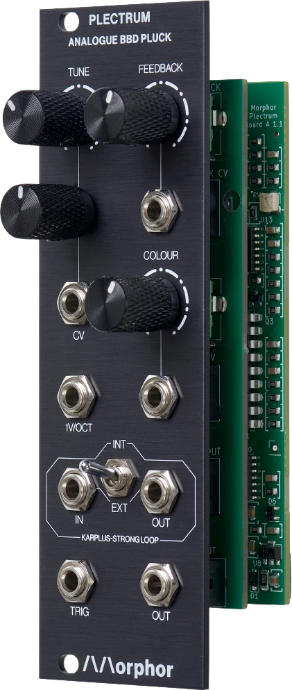 MORPHOR PLECTRUM ANALOG BBD PLUCK