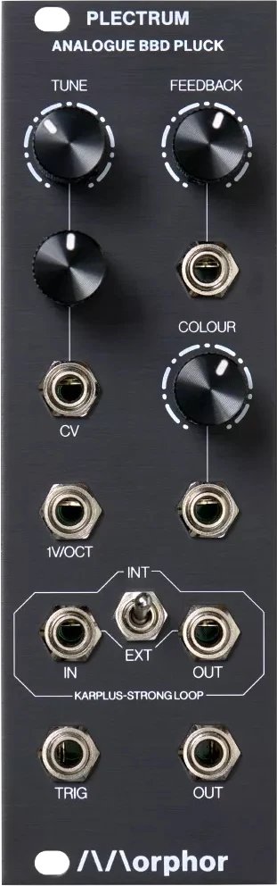 MORPHOR PLECTRUM ANALOG BBD PLUCK