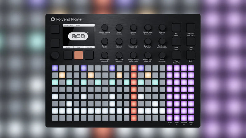 POLYEND PLAY+ : B-STOCK