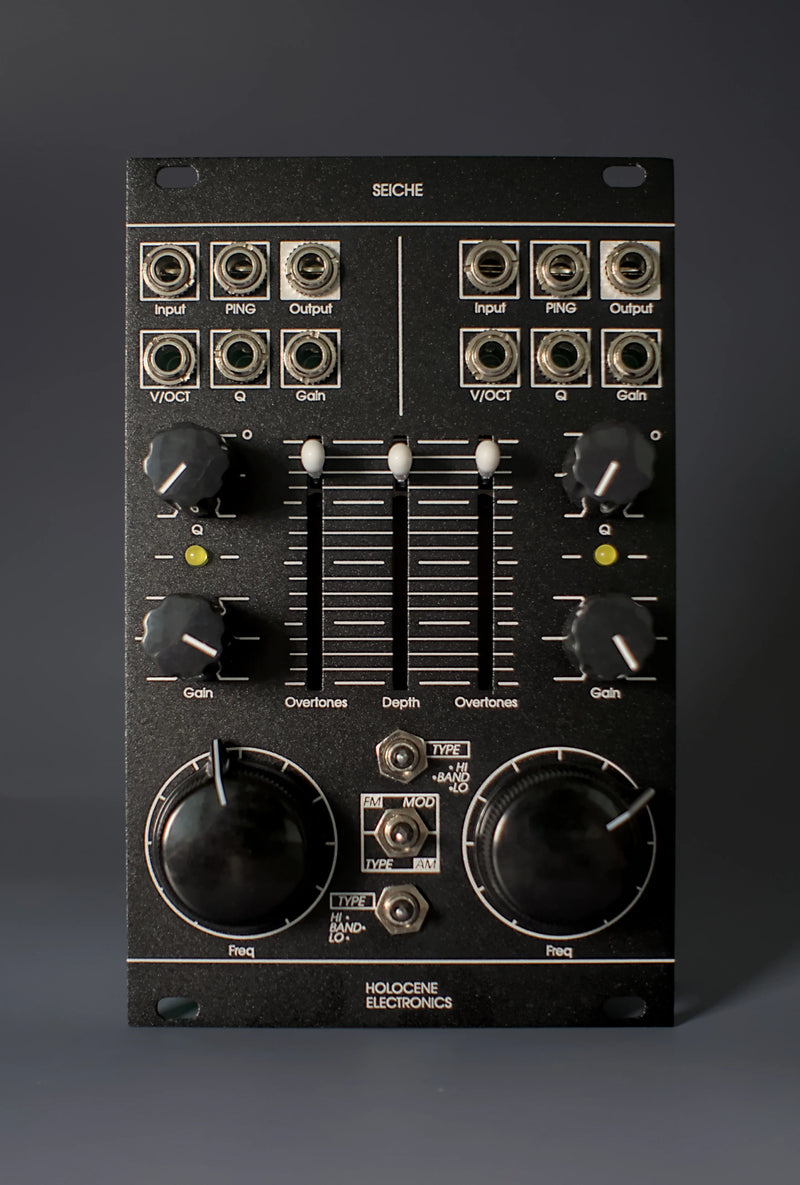 HOLOCENE ELECTRONICS SEICHI