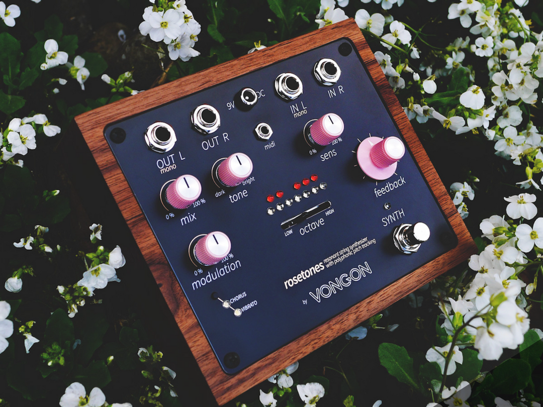 VONGON ROSETONES