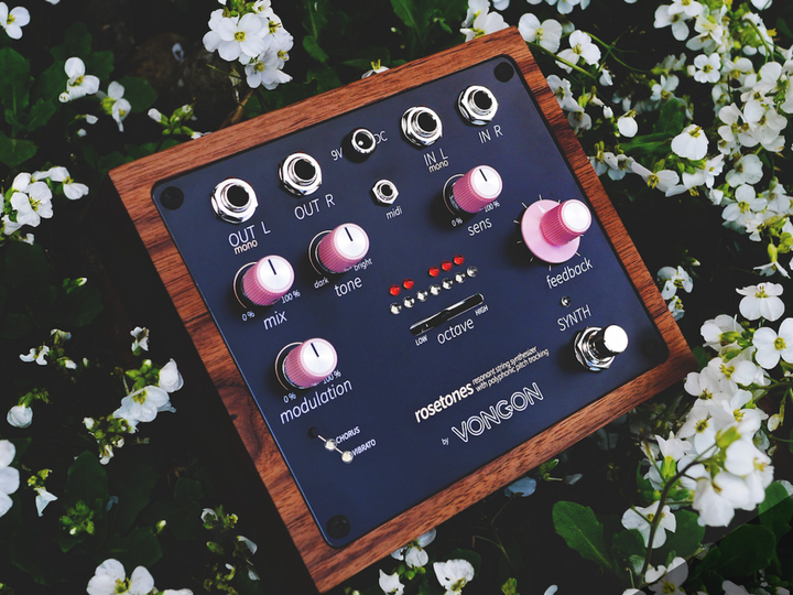 VONGON ROSETONES