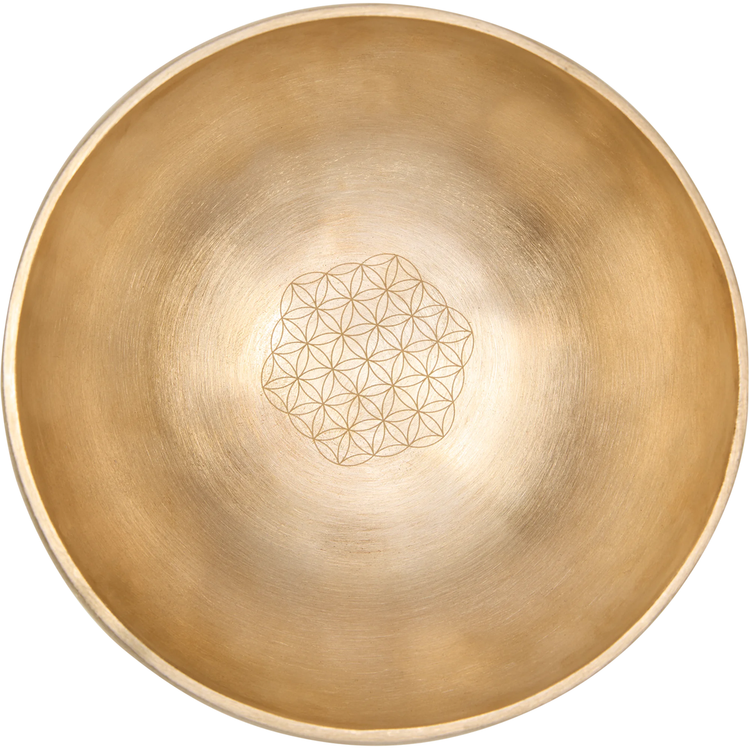 MEINL SONIC ENERGY SINGING BOWL FLOWER OF LIFE SET