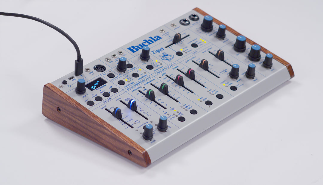 BUCHLA ZIGGY ANALOG DESKTOP SYNTH : PRE-ORDER
