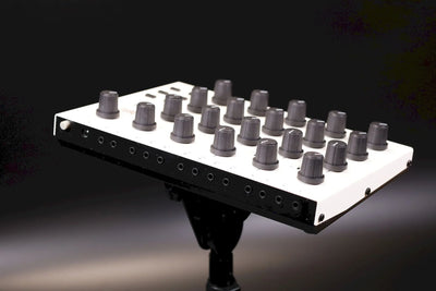 MICHIGAN SYNTH WORKS BELLA (MUTABLE ANUSHRI) : B-STOCK