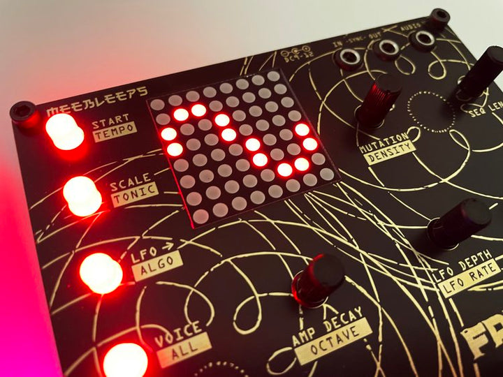 WIREHEAD INSTRUMENTS FREAQ FM