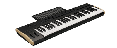 KORG KEYSTAGE POLY AT MIDI KEYBOARD