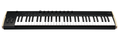 KORG KEYSTAGE POLY AT MIDI KEYBOARD