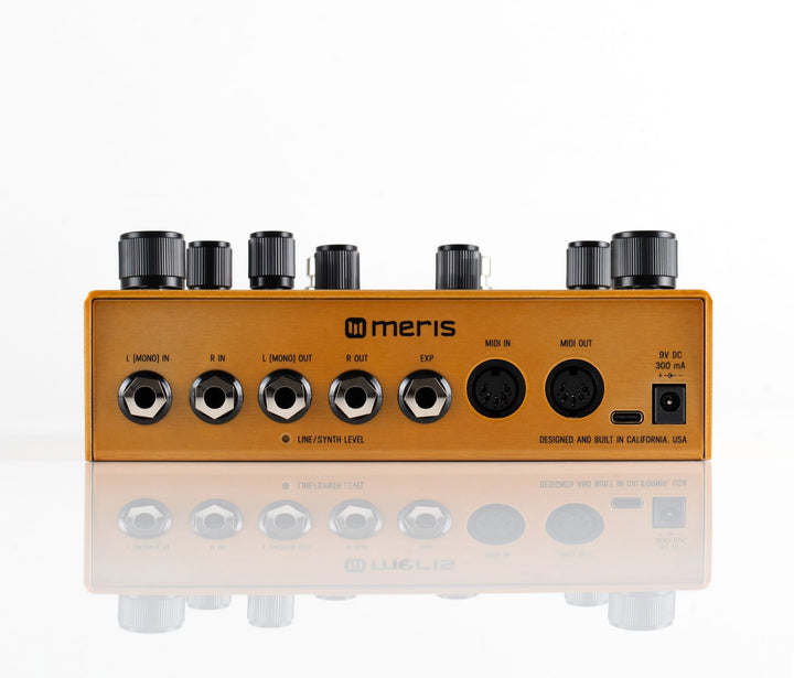 MERIS ENZO X