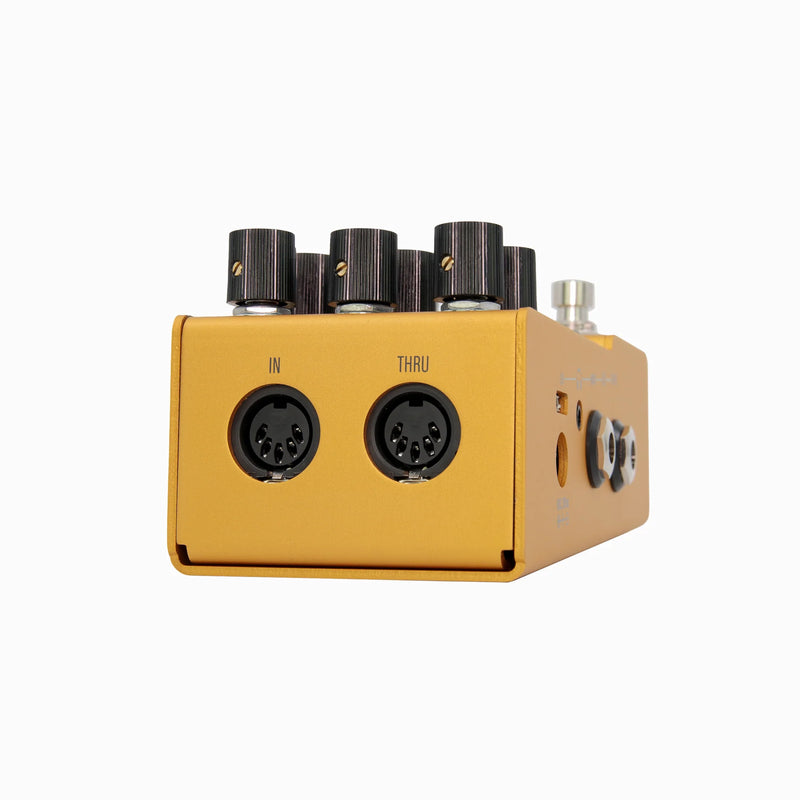 WALRUS AUDIO MAKO SERIES: ACS1 AMP + CAB SIMULATOR