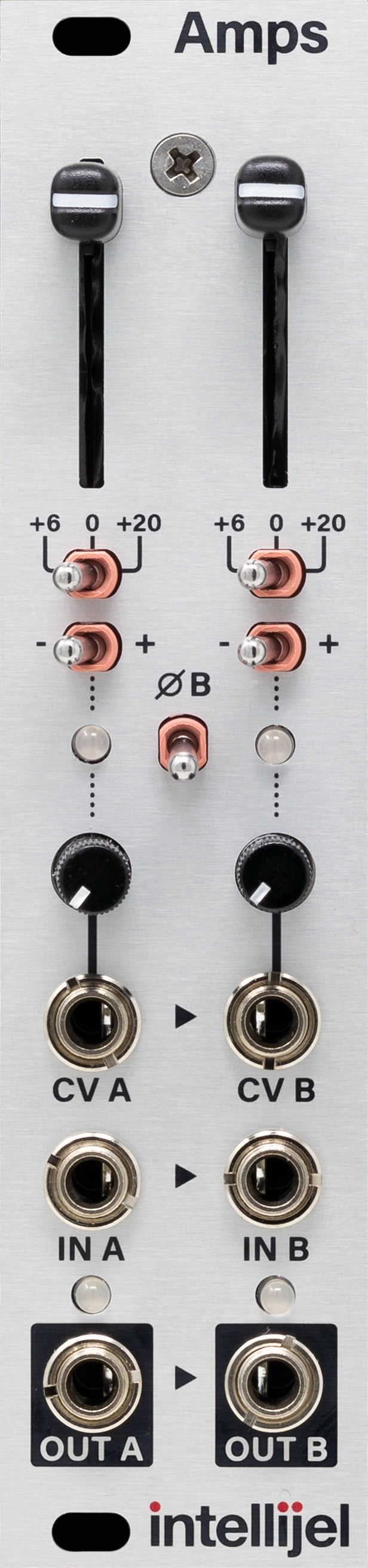 INTELLIJEL AMPS