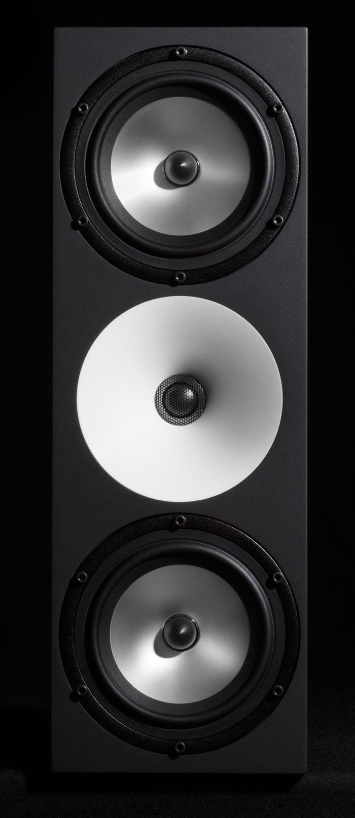 AMPHION TWO18 SINGLE : SPECIAL ORDER