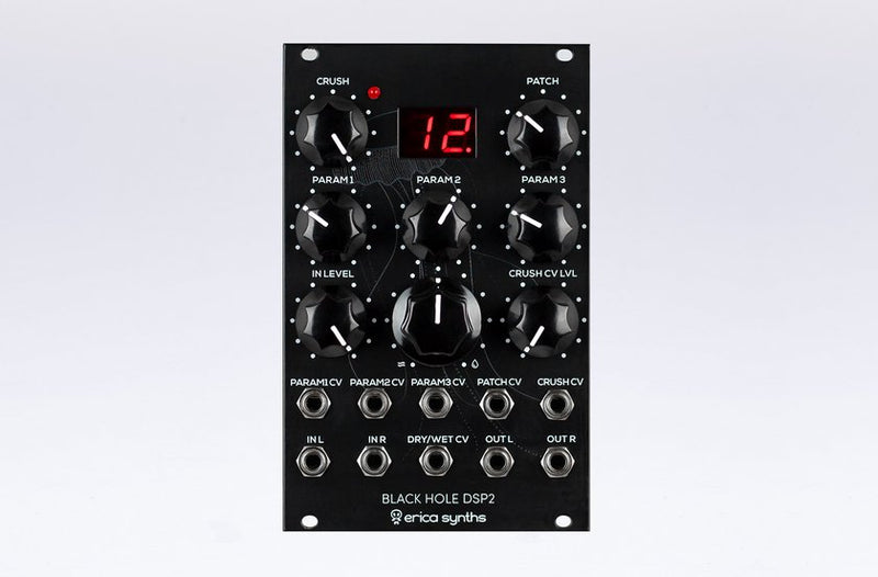 ERICA SYNTHS BLACK HOLE DSP 2