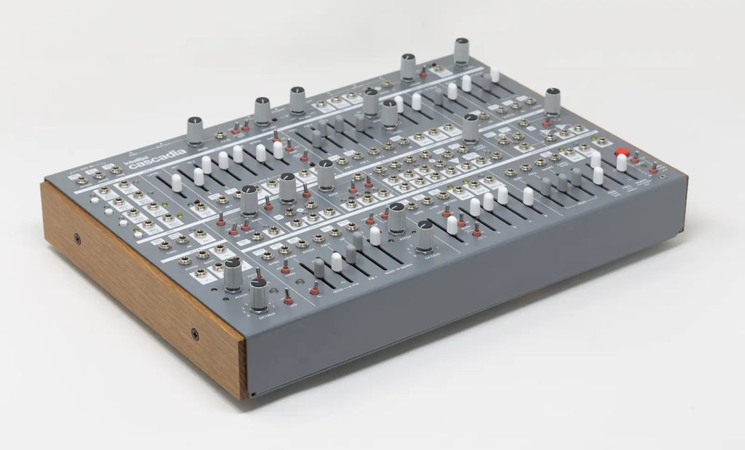 鍵盤楽器 Intellijel Cascadia Intellijel Cascadia – Detroit Modular