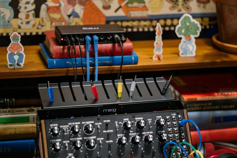 MOOG SOUND STUDIOS : DFAM & SUBHARMONICON