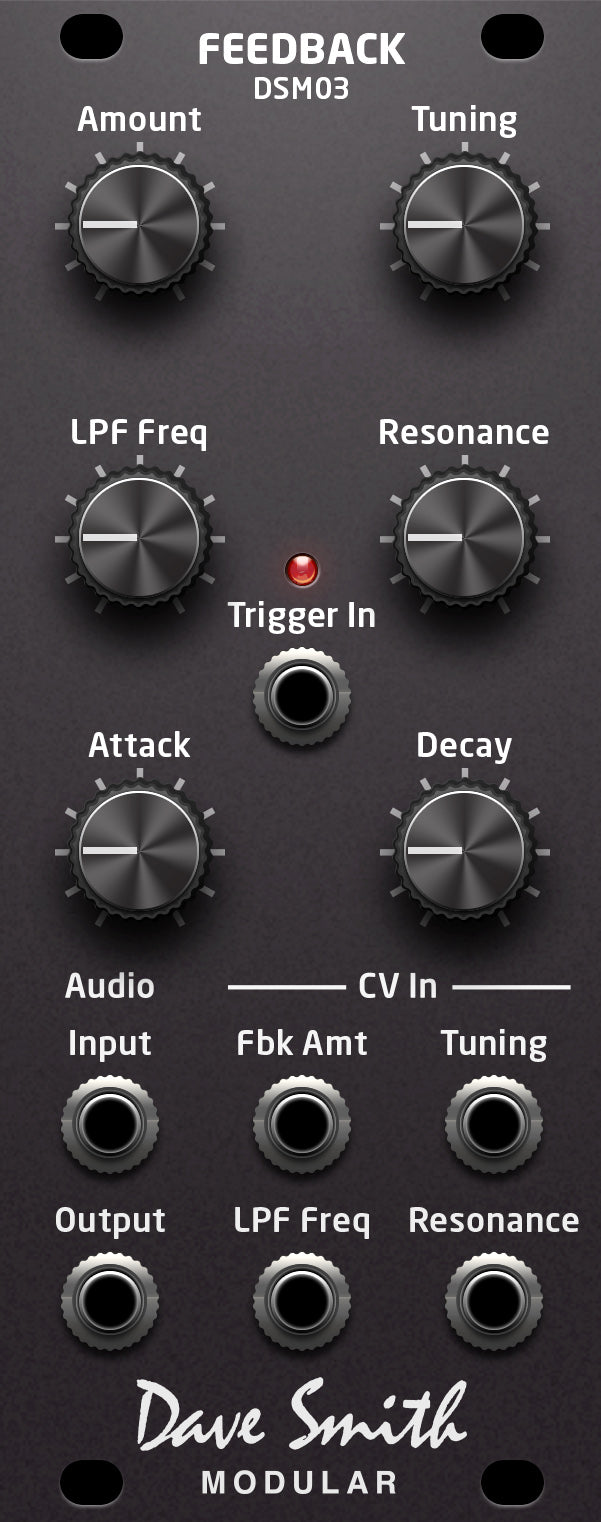 DAVE SMITH INSTRUMENTS DSM03 FEEDBACK MODULE