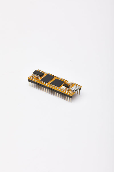 ELECTROSMITH DAISY SEED