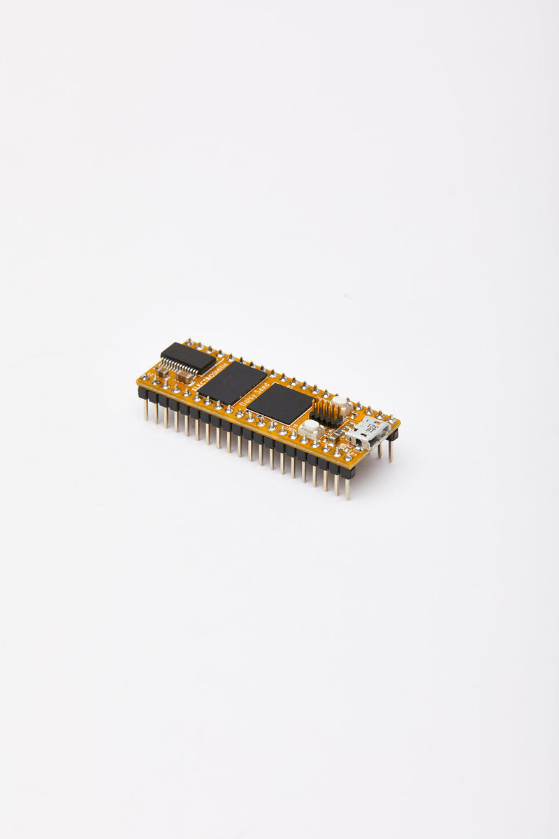 ELECTROSMITH DAISY SEED