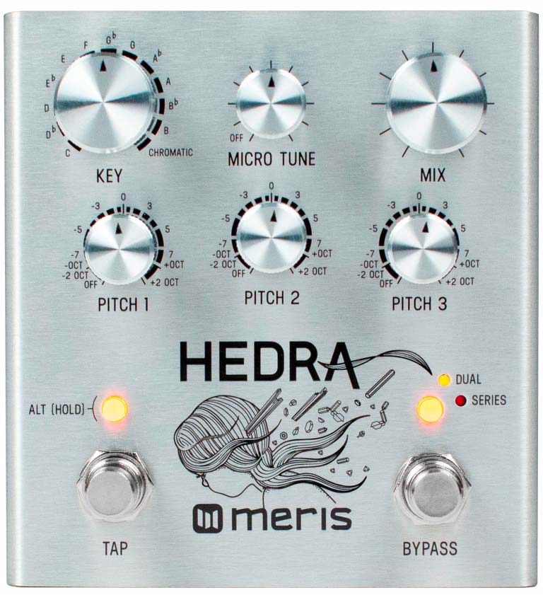 MERIS HEDRA