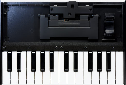 ROLAND K-25m