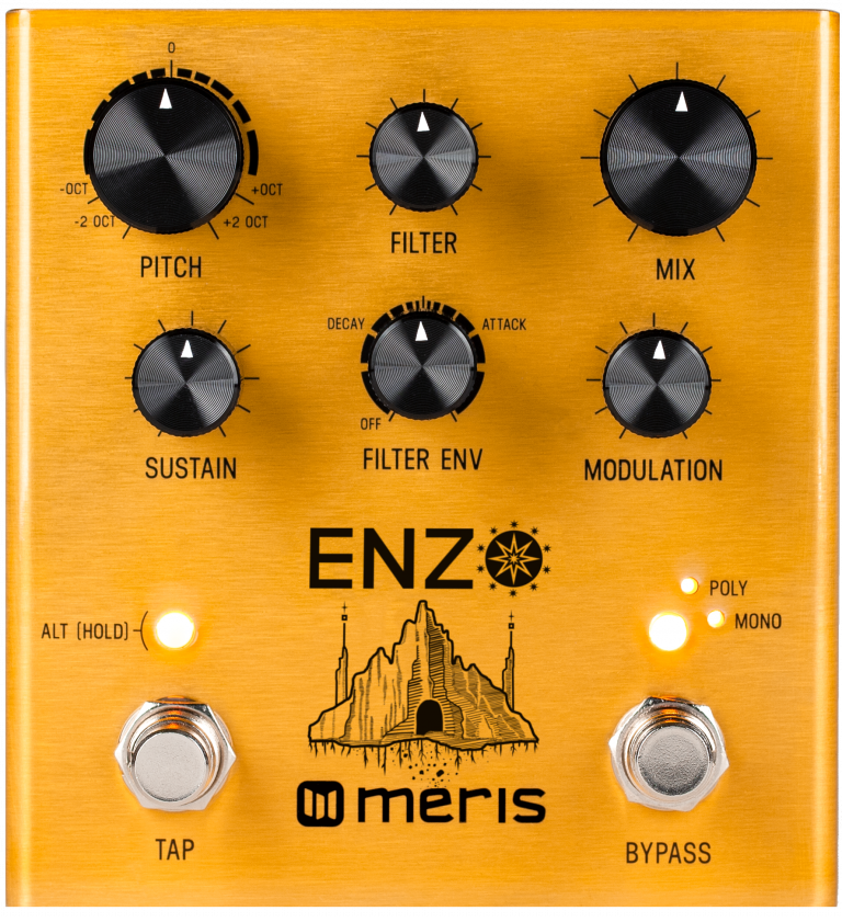 MERIS ENZO