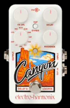 ELECTRO-HARMONIX CANYON DELAY & LOOP