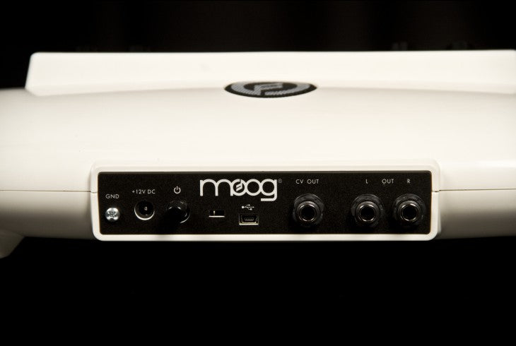 MOOG THEREMINI