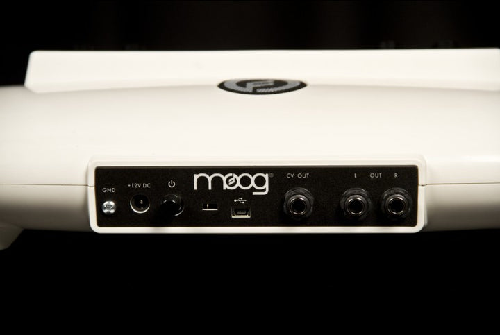 MOOG THEREMINI