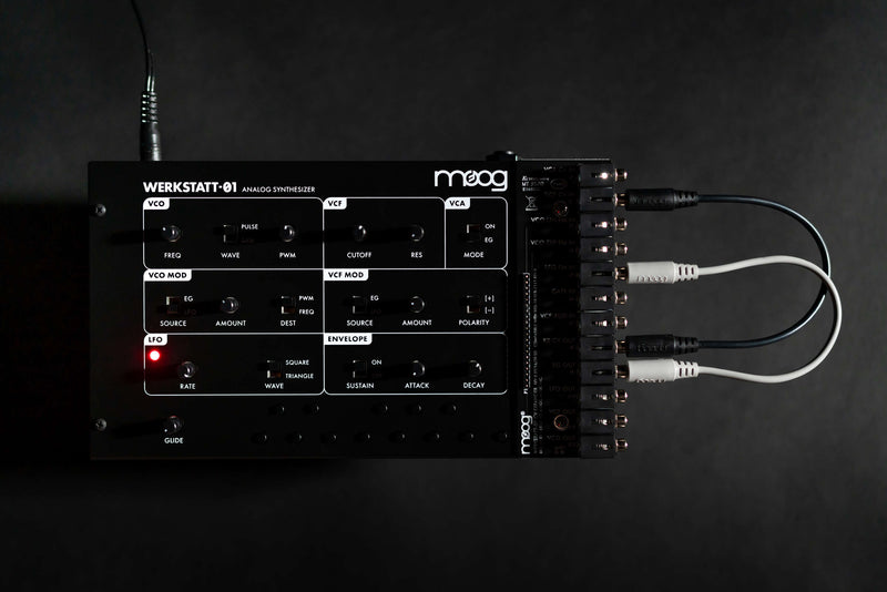 MOOG WERKSTATT 01 & CV EXPANDER