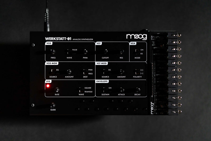 MOOG WERKSTATT 01 & CV EXPANDER