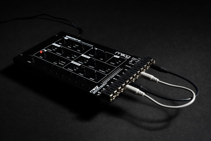 MOOG WERKSTATT 01 & CV EXPANDER